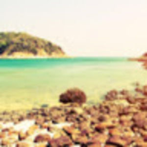 Meet your Posher, Kylee